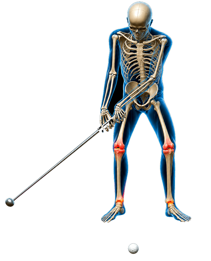 Pose Image
